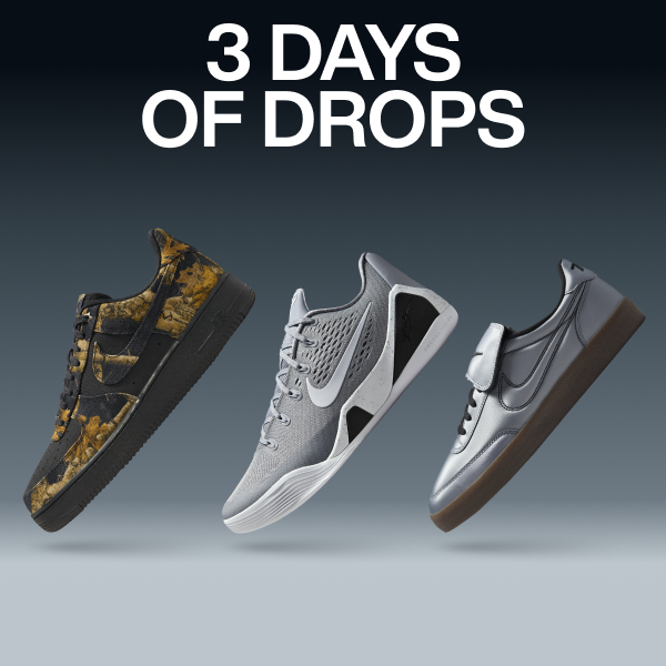 Nike Dunk Low Men's Shoes